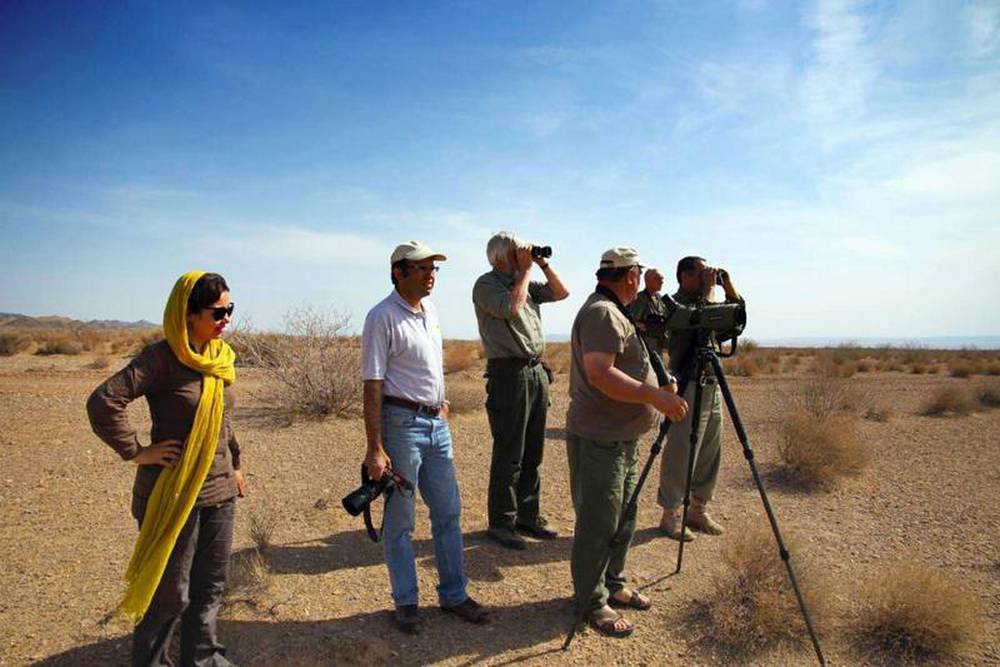 Iran Wildlife Watching Tour